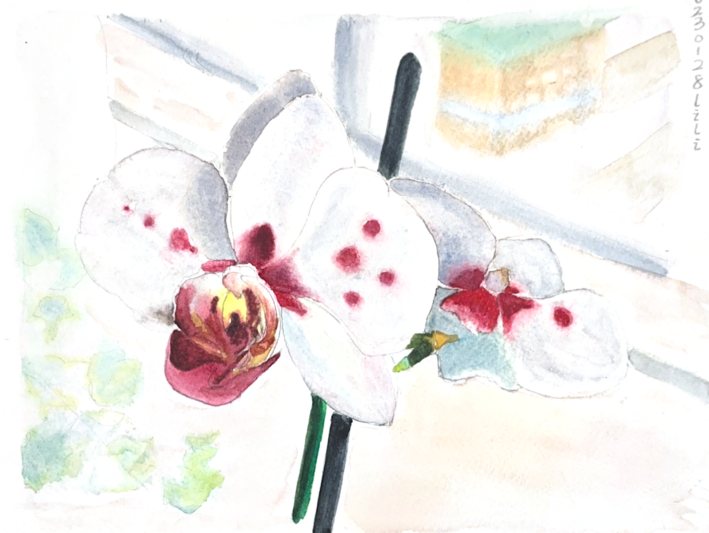 Art Image FlowerButterfly